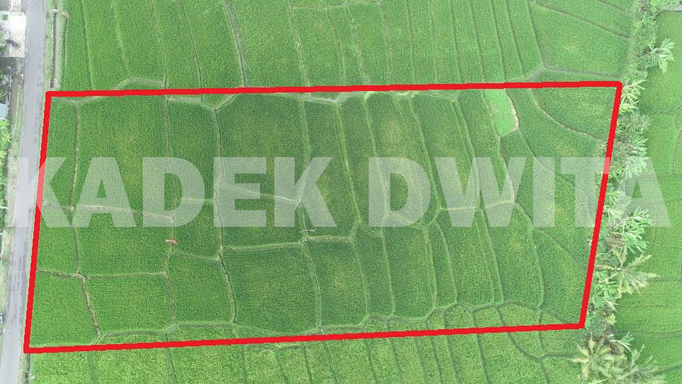 Tanah paling murah pantai megening cemagi view sawah