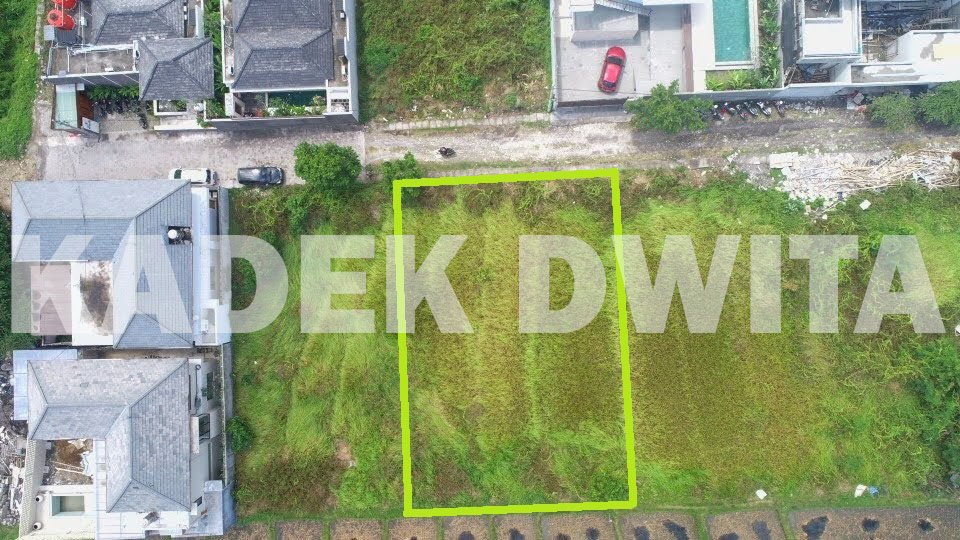 Tanah view sawah gang anggrek berawa canggu dekat montessori