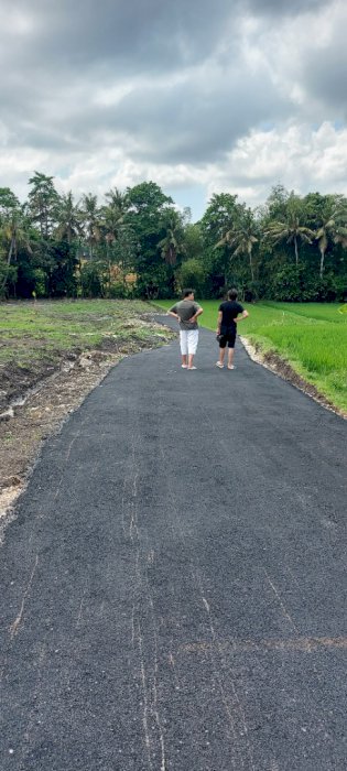 tanah kavling luasan 1 arean di canggu bali