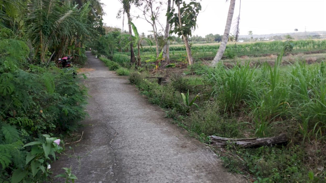 Tanah sawah murahndibendungan