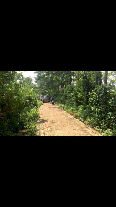 Tanah Kebun Luas Datar Bisa Tukar Rumah/Mobil