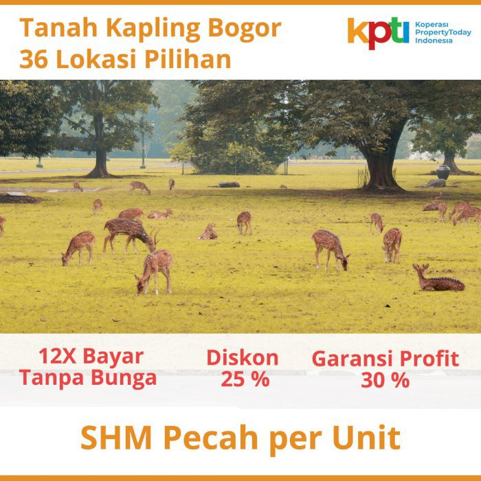 Kapling Murah Hanya 1 Jutaan Dekat Kampus IPB, Bisa Cicil 12X