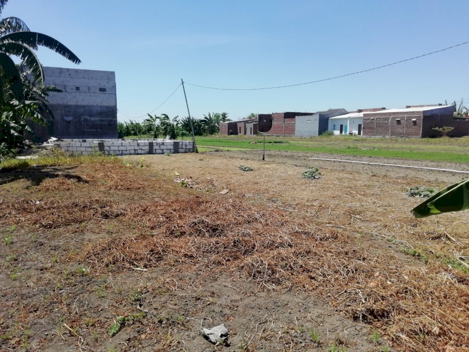 Di jual tanah pekarangan cepat 