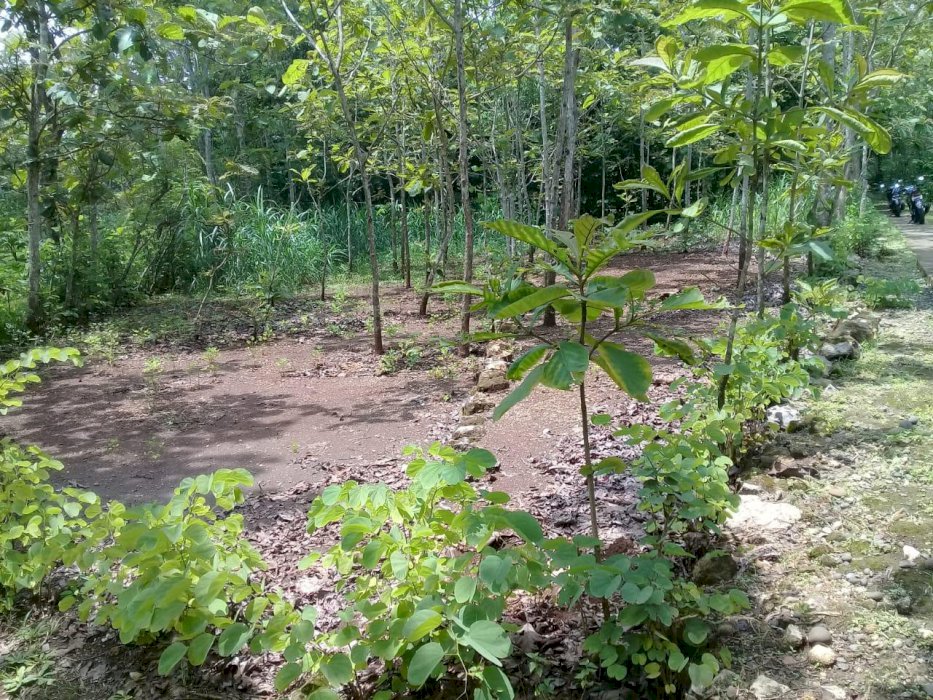 Dijual Tanah di Bendungan Wonosari