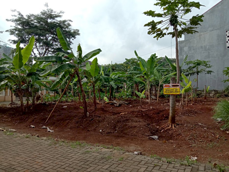 Tanah Hook Bukit Umbul Sumurboto