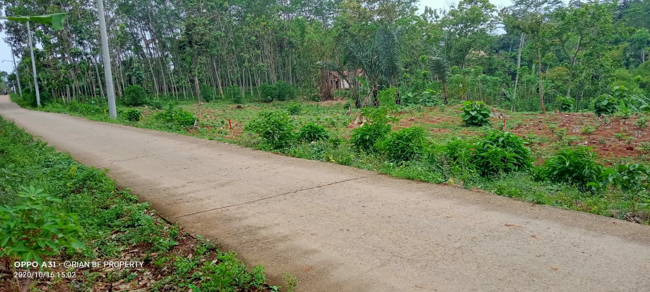 Kapling Lestarri Barokah 3