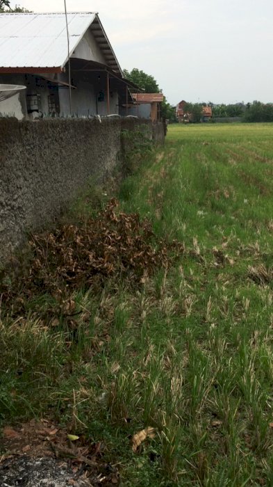 Dijual segera Sebidang tanah SHM