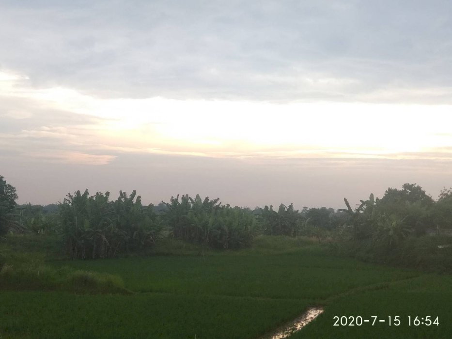 Dijual Tanah Akses Jln Lebar diCisauk Tanggerang Lt23ha 700ribu per m2