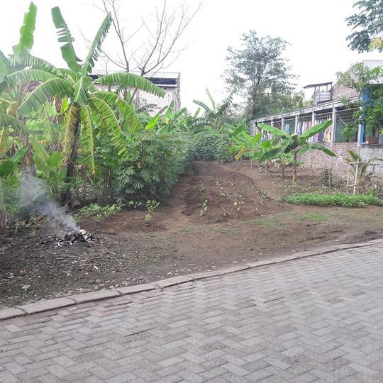 Tanah Cocok Untuk Investasi Bangetayu