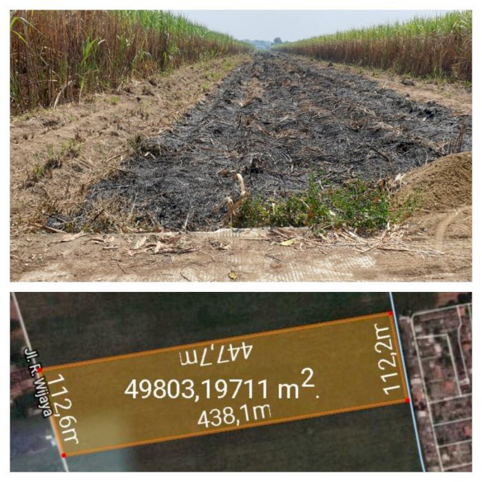 Dijual MURAH Tanah 6 Hektar di Jetis Cangu, Mojokerto Harga 500ribu/m2