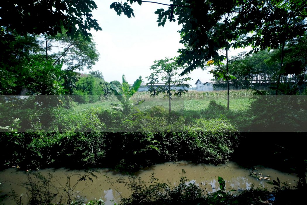 Tanah Strategis Pinggir Jalan Raya Propinsi