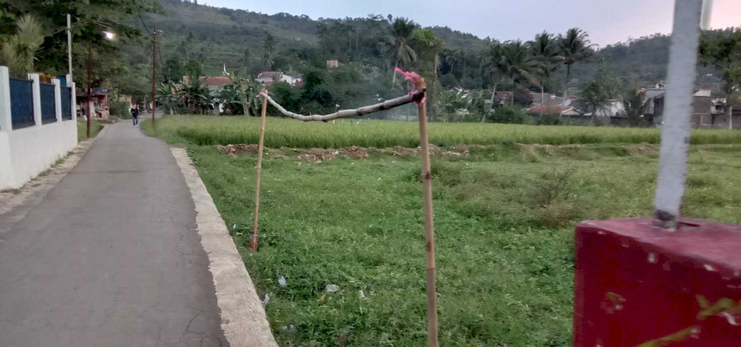 DIJUAL BU TANAH PINGGIR JALAN RAYA SEKARWANGI CIBADAK SUKABUMI