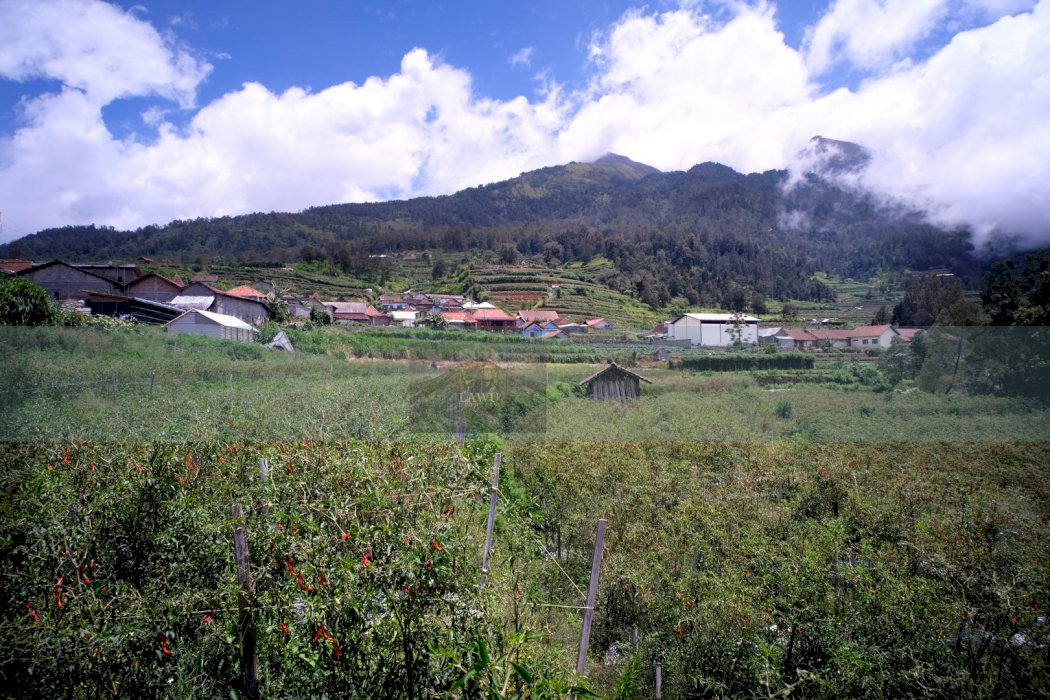 Tanah Murah dengan view Gunung yang Indah