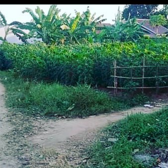 Tanah dijual murah sudah dipondasi batas keliling