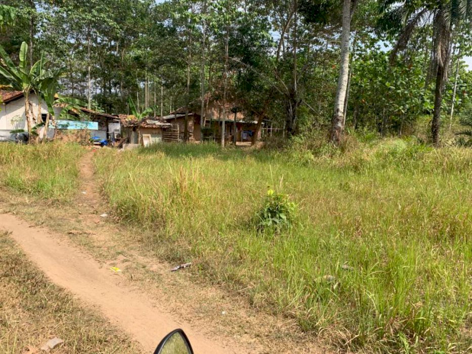 Tanah di Sabah Balau, sedang berkembang pesat, cocok buat investasi