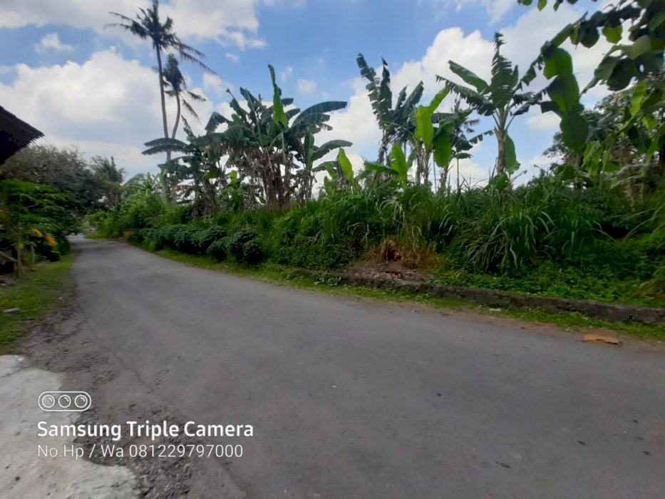 DI JUAL TANAH PEKARANGAN GITO GATI,SLEMAN