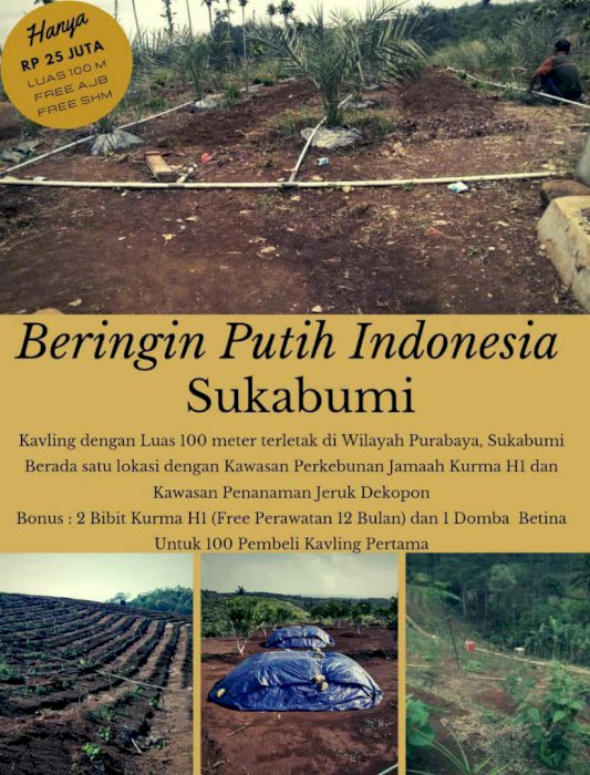 Kavling Beringin Putih Indonesia Sukabumi