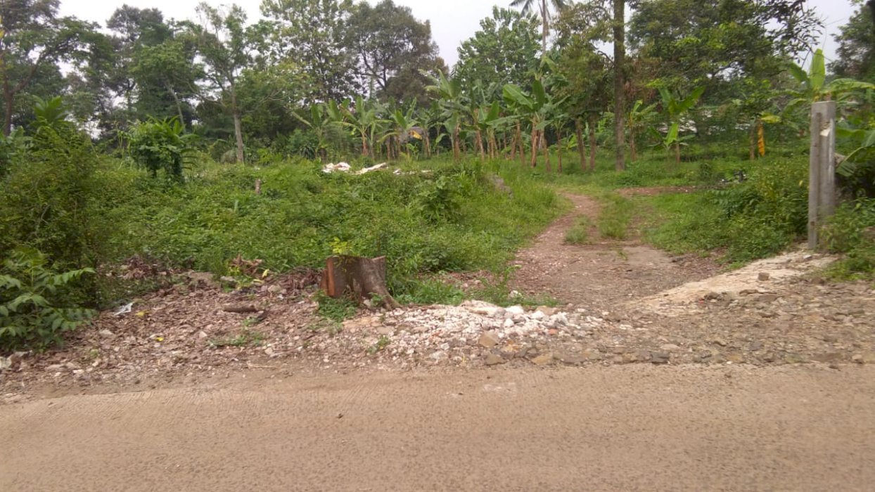 Tanah 6.000 meter di belakang ramayana Parung