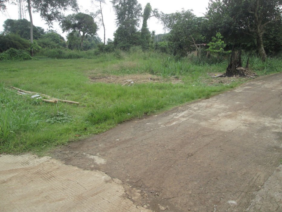 Tanah berupa lapang  tepi jalan