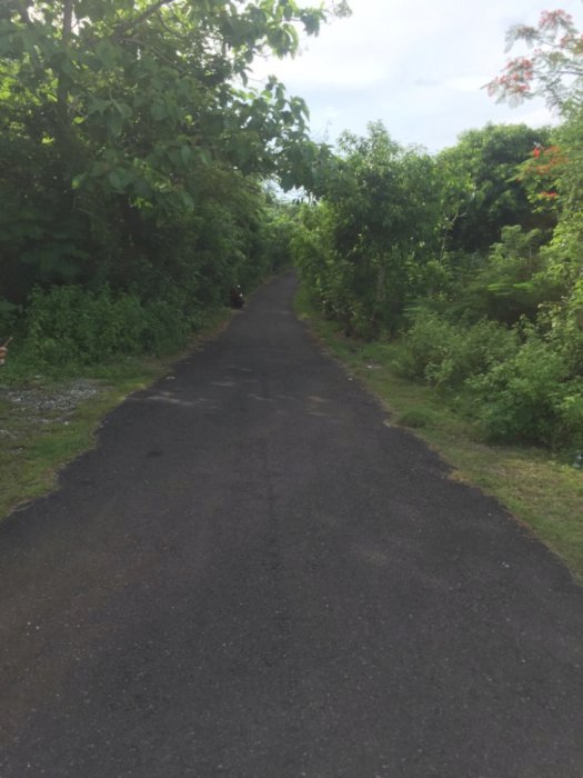 Tanah super murah di Pecatu