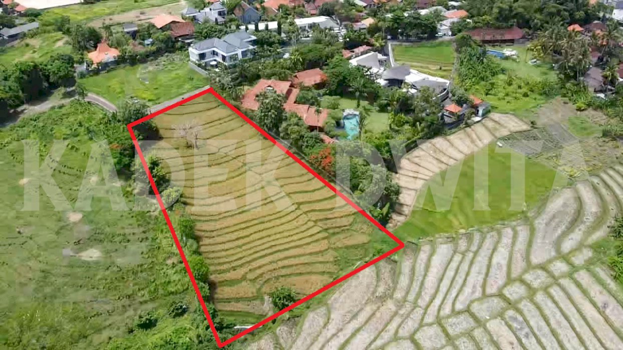 Tanah view sawah terasering pererenan canggu Bali