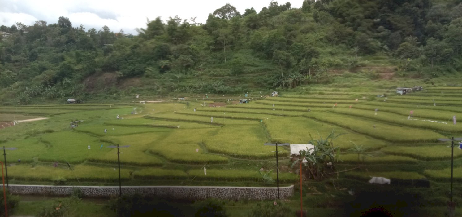 Dijual tanah seluas 2000 M2 di Cikarang cocok buat perumahan