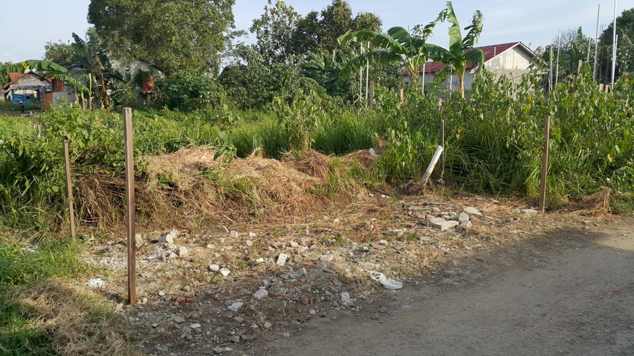 Dijual tanah serbaguna dan produktif SHM