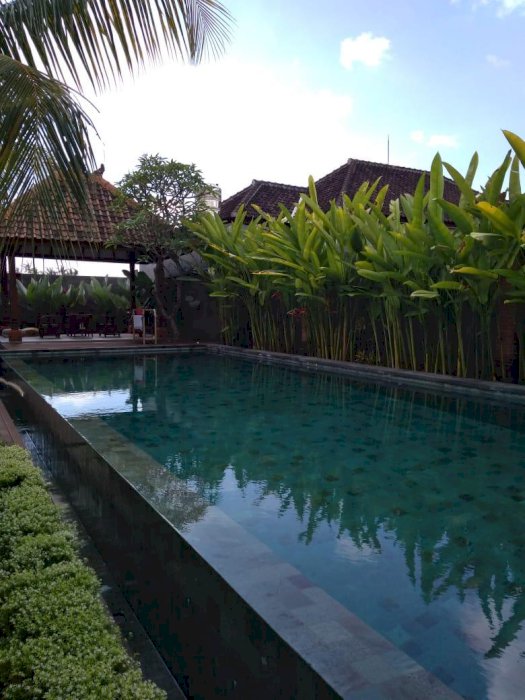 Villa lantai 2 view sawah di ubud