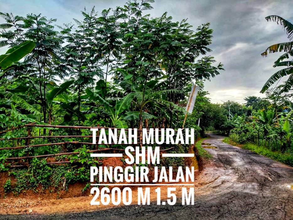 Jual Cepat Tanah Pinggir Jalan Bonus SHM