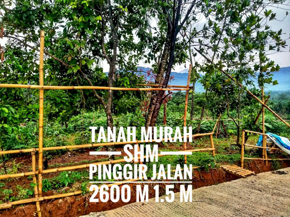TANAH SHM DIJUAL CEPAT PINGGIR JALAN PROPINSI