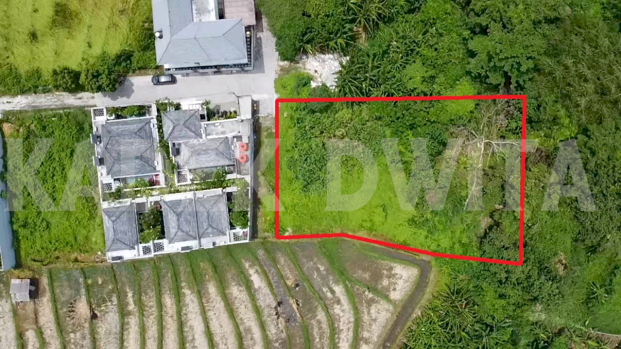 Tanah gang anggrek berawa canggu dekat finns beach