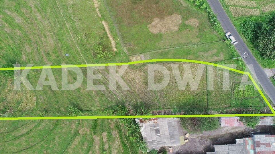 dijual Tanah jalan kaba kaba tabanan perbatasan munggu