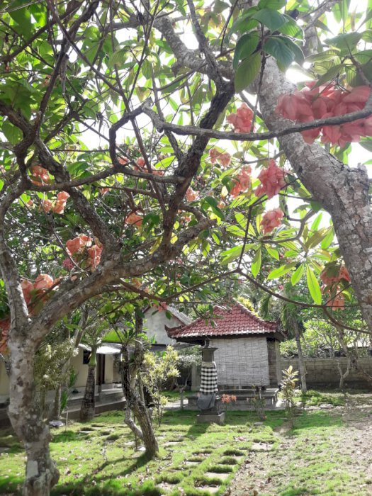 DIJUAL RUMAH DI WILAYAH  NUSA PENIDA