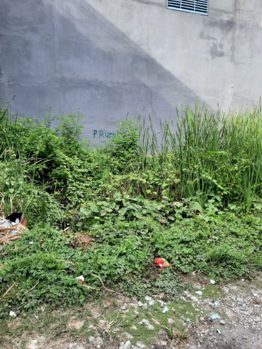 Dijual tanah 48 mÂ² dibawah harga pasar