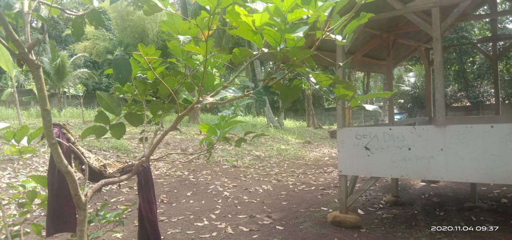 Tanah Luas Strategis Lokasi Anyer