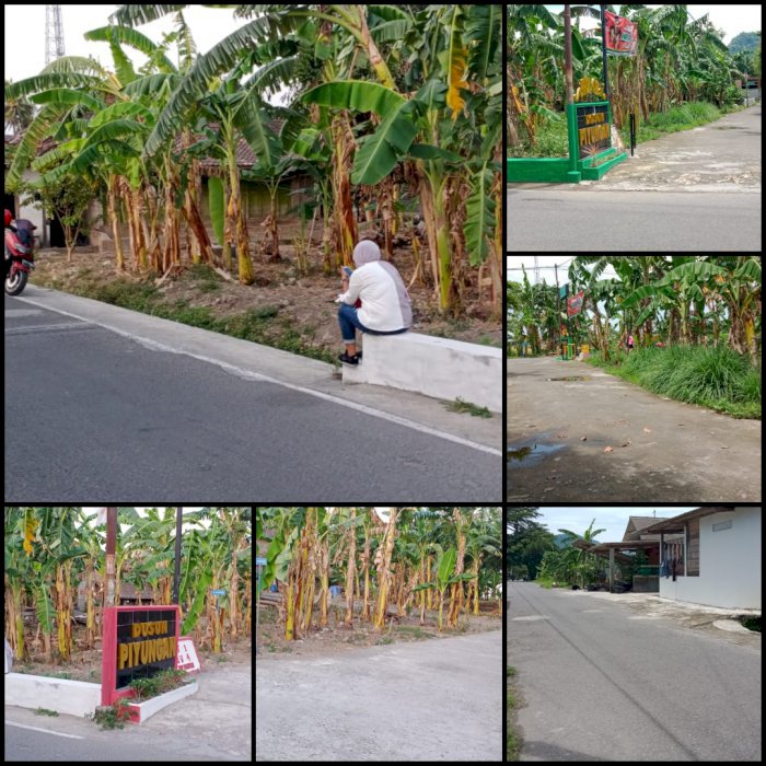 DIJUAL CEPAT PEKARANGAN MUNGGUR SRIMARTANI PIYUNGAN BANTUL