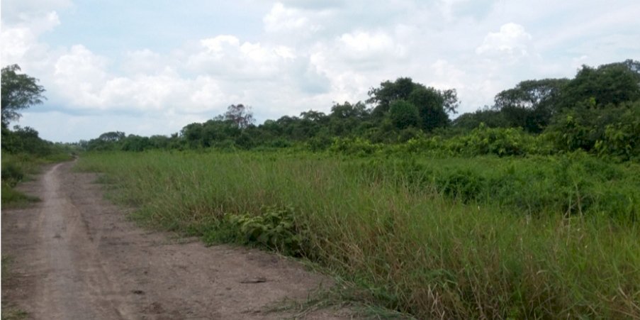 DIJUAL LAHAN KOSONG 18,000HA UNTUK KEBUN KELAPA SAWIT