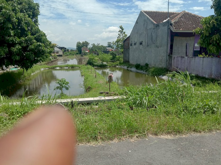Jual tanah sawah luas 1400meter
