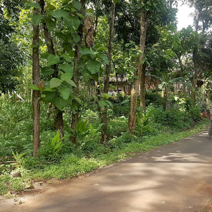 Tanah pekarangan cocok investasi