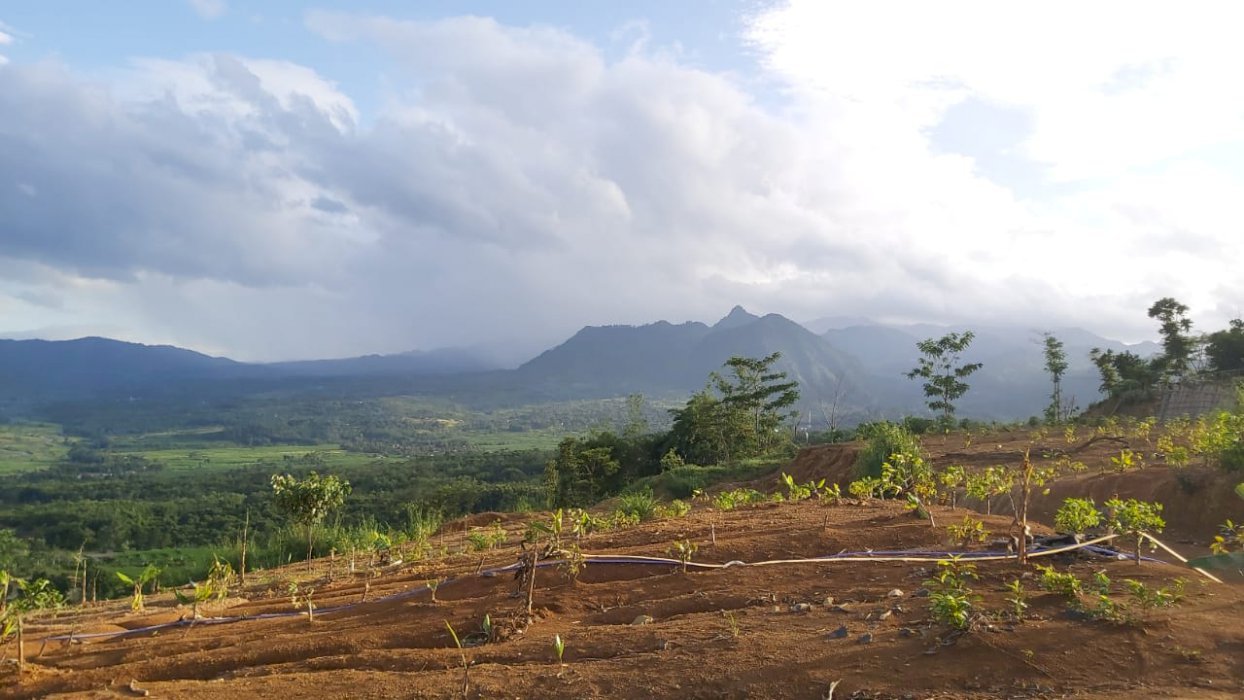Kavling kebun Bonjovi Jonggol