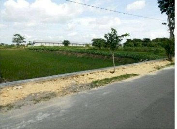 Tanah Nol Raya Cerme Gresik