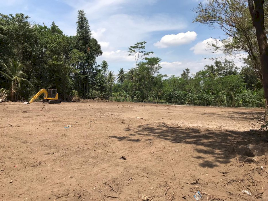 TANAH MURAH DI JANGKANG NGEMPLAK DEKAT KAMPUS UII KALIURANG JOGJA