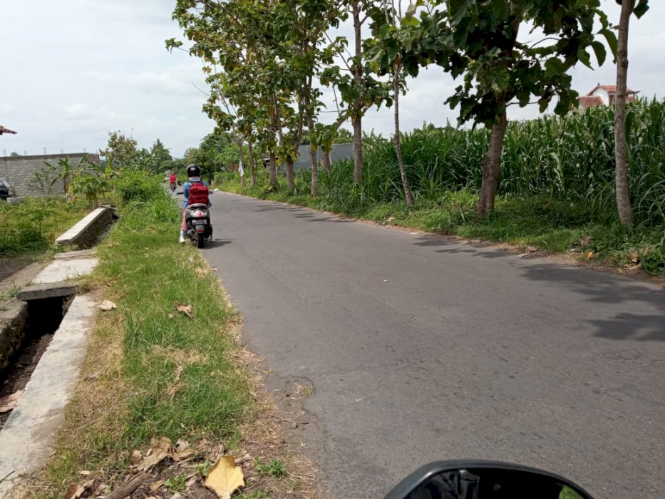 Tanah Strategis Bisa Usaha di Purwomartani Kalasan Sleman
