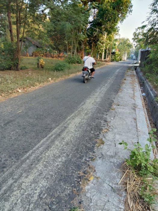 PEKARANGAN TEPI JALAN ASPAL DEKAT KMPUS UII JAKAL SARDONOHARJO NGAGLIK SLEMAN