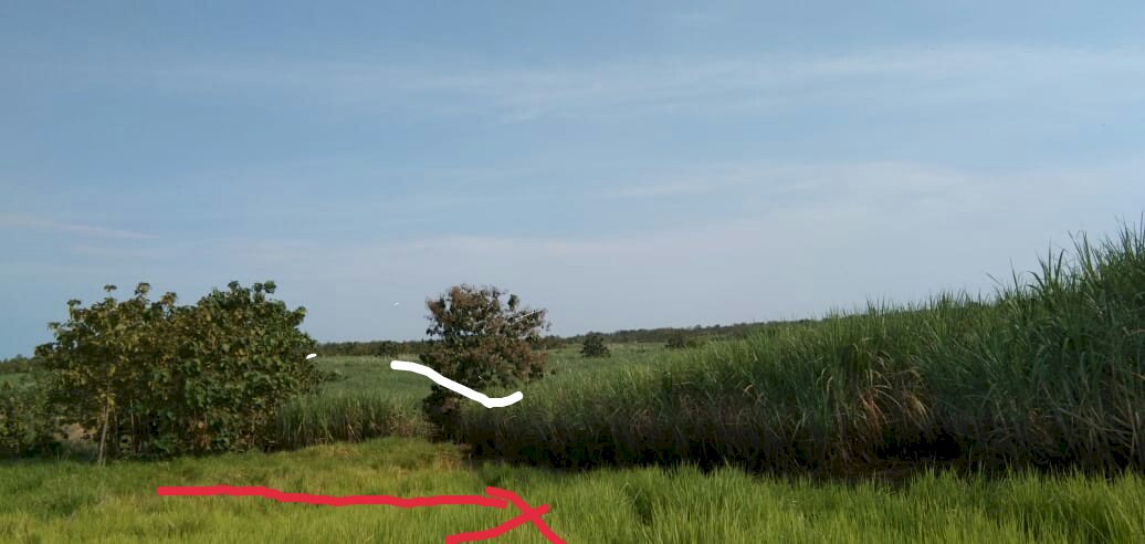 Kavling Super Strategis Dekat Bandara Kertajati Majalengka Murah