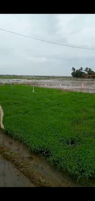 Tanah di Jatimulya Serang Bekasi cocok untuk Perumahan