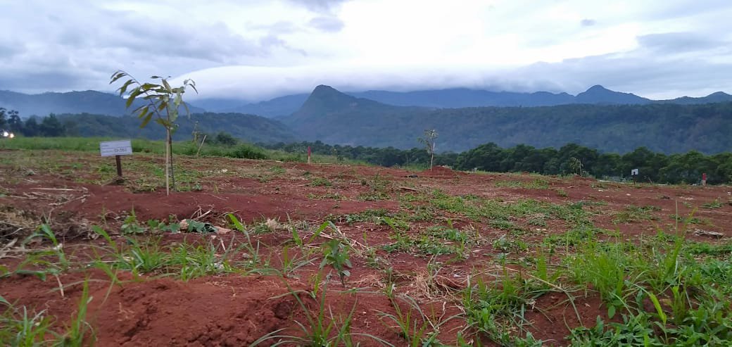 DIJual Tanah Kavling EKSKLUSIF Giri Wangi Bogor