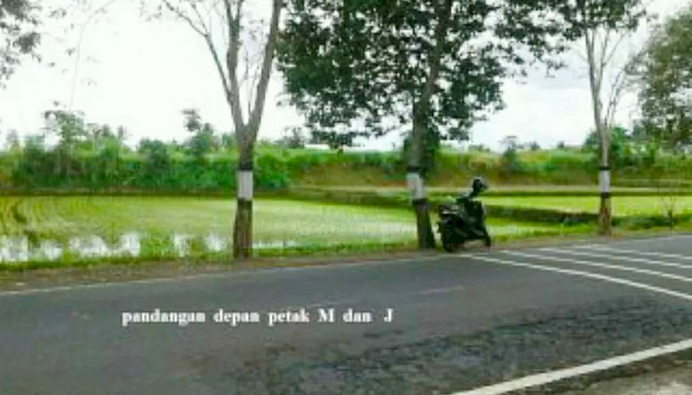 Tanah Strategis ada Mata Air di Abiansemal Bali