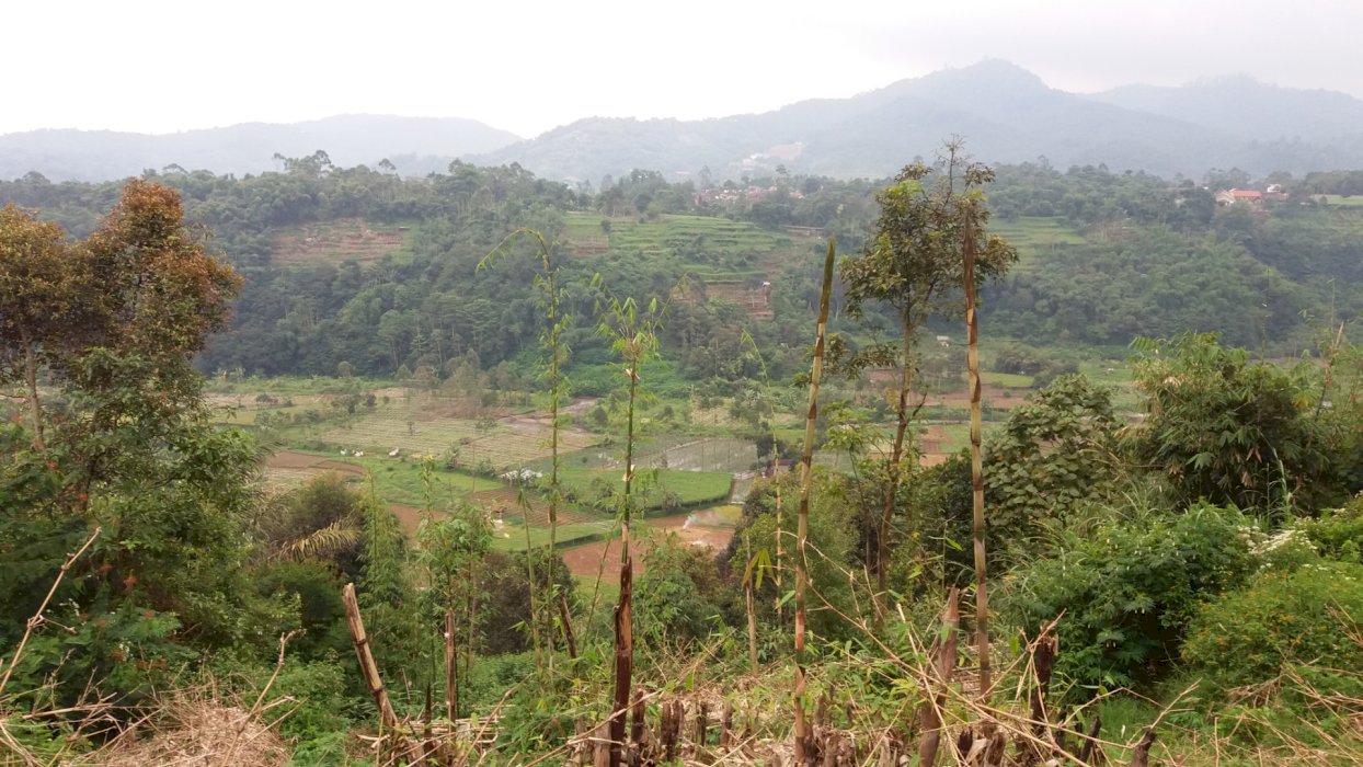 Tanah Kebun Pinggir Jalan Di Daerah Wisata Pasirjambu Ciwidey