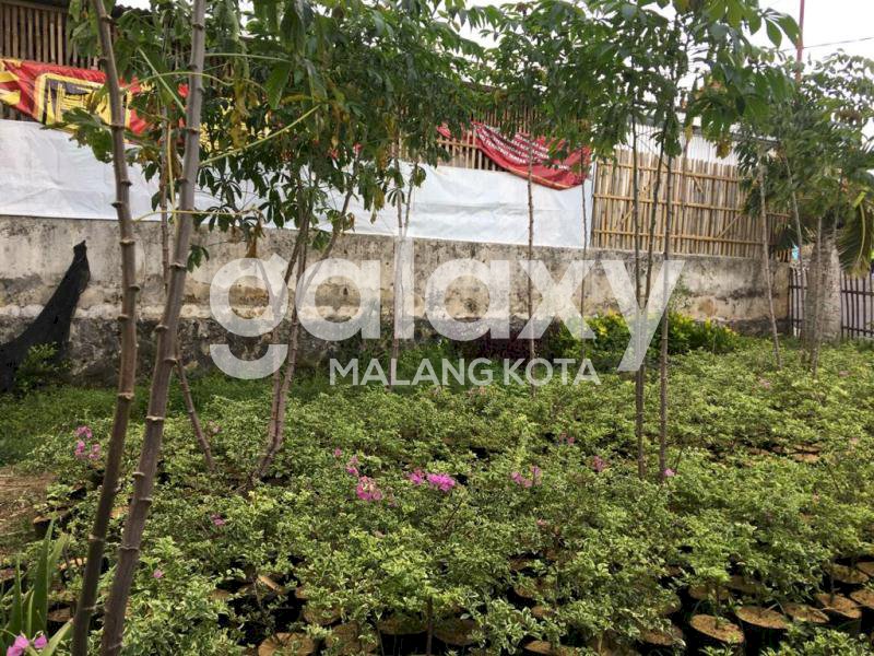 Tanah Dijual di Jalan Matasim Bumiaji Batu